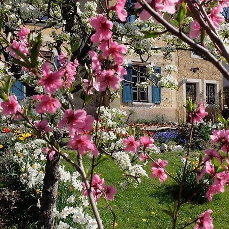 라 플라뉴 La Foyere B&B 외부 사진