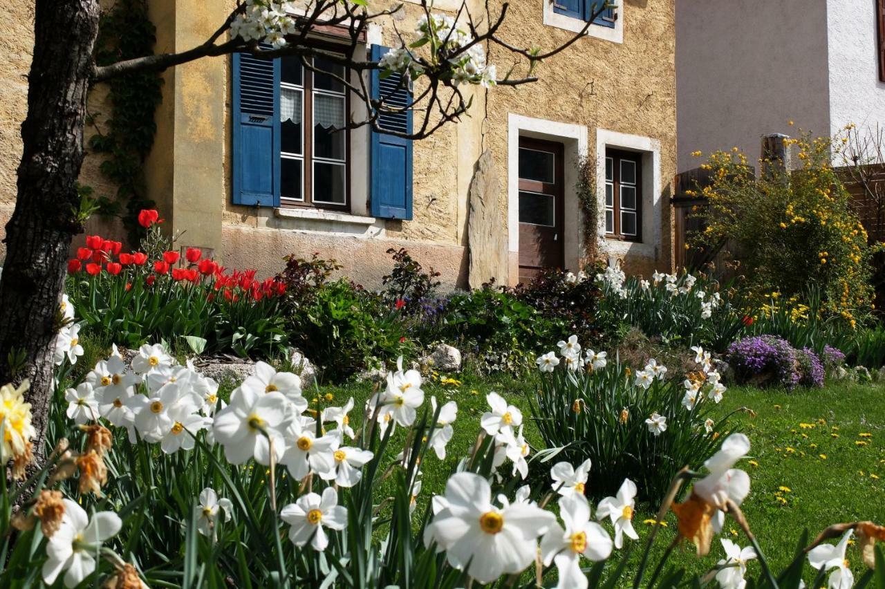라 플라뉴 La Foyere B&B 외부 사진